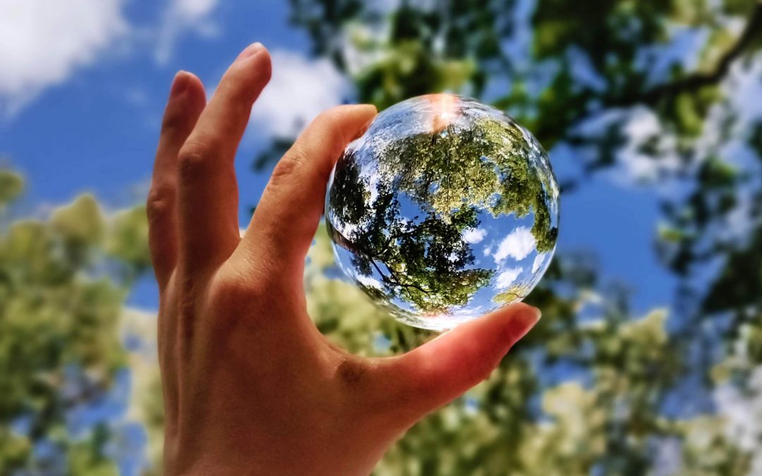 10 piccoli gesti che ci aiuteranno a risparmiare in bolletta e vivere in un futuro più sostenibile
